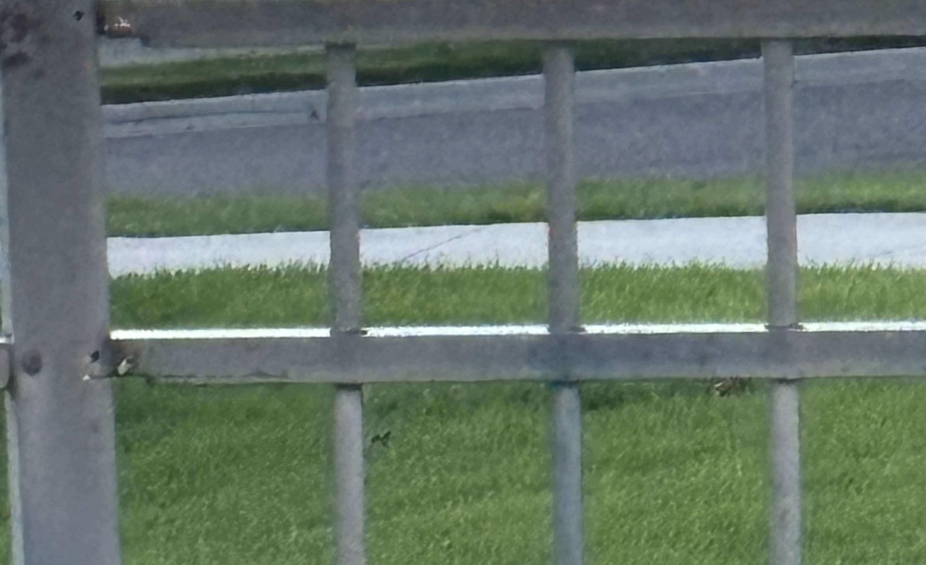 literally just a fence